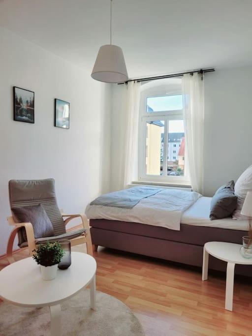 Gemuetliches Helles Appartement ドレスデン エクステリア 写真