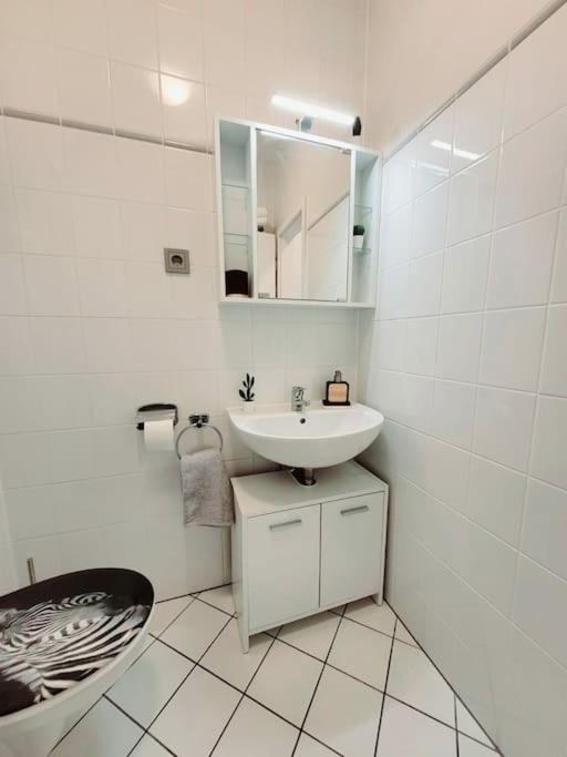 Gemuetliches Helles Appartement ドレスデン エクステリア 写真