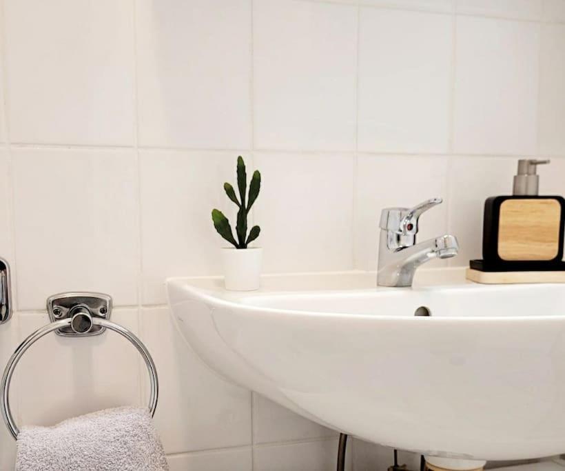 Gemuetliches Helles Appartement ドレスデン エクステリア 写真